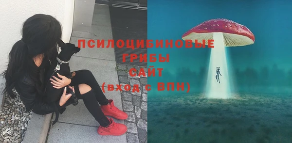 хмурый Волоколамск