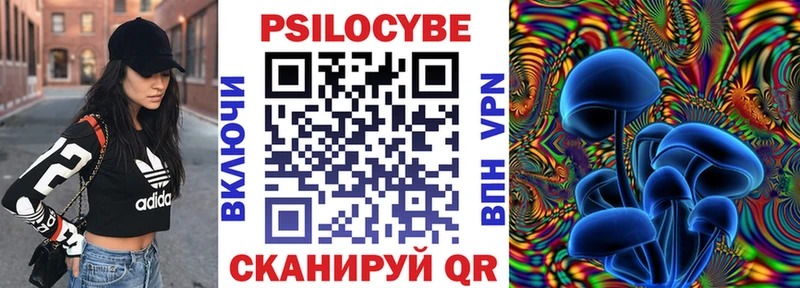 Псилоцибиновые грибы GOLDEN TEACHER  Курган 